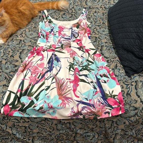 Boston proper fit and flare floral dress size 8 - Picture 2 of 6